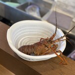 海女小屋　ちさと - 