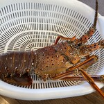 海女小屋　ちさと - 