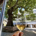 クリマ ディ トスカーナ - 