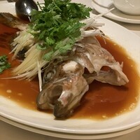 家寶 跳龍門 - 