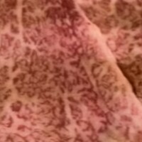 焼肉ホルモン せがれ - 