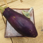 柚木元 - ていざなす