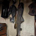 炉端 蝦夷の里 - 店内は薄暗く、しかしフラッシュは絶対に焚きたくない。