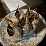 炉端 蝦夷の里 - ツブ貝　3勝3敗。ショック。マスターしたと思ってたのに。