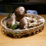 Tempura Shinsaibashi Ittetsu - 