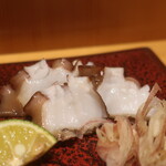 こころや - 地だこ