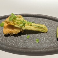 MOTORA  - 