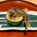 銀座 しのはら - 子持ち鮎