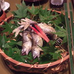 近又 - 稚鮎の塩焼き