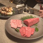 USHIGORO S. SHINJUKU - 