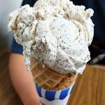 Prince Puckler's Eugene's Own Gourmet Ice Cream - Oregon Chai Tea w/ waffle corn