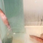 光る海 - 活イカ