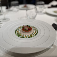 ジョンティ アッシュ -  ジョンティ アッシュ -