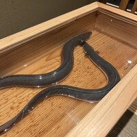 にょろ助 銀座 - 