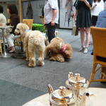 アニヴェルセル カフェ - テラス席はワンちゃんＯＫ。お水のサービスあり。