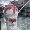 Tokyo Shave Ice necogoori - 料理写真: