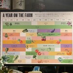 WE ARE THE FARM - 