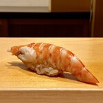 鮨 はしもと - 車海老
      茹でたてはさすがに甘みがあります！