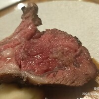 ブラチェリア バーヴァ - 