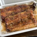 Unagi Kinsui - 