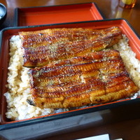 うらわのうなぎ 萬店 - うなぎが大きめ
