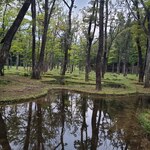 レストラン μ - 石上純也さん建築アート作品「水庭」