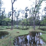 レストラン μ - 必見 「水庭」