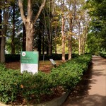 とんかつ 久 - 園路１