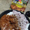 SPICY CURRY 魯珈