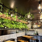 ブルービーバーガーズ - 