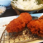 Tonkatsu To Kafe Aratama - 那須高原豚ヒレカツ定食(小) 