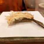 天白 - メゴチも尻尾までいってもうた。