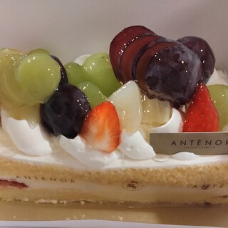 アンテノール_1