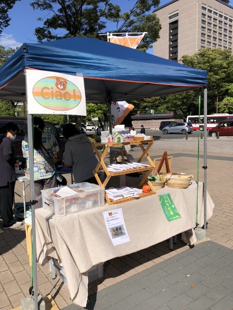 チャオ（Ciao!） - 榴ケ岡（洋菓子）の写真