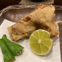 吉星 - 