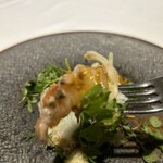 ラ・ヴァガボンド - 