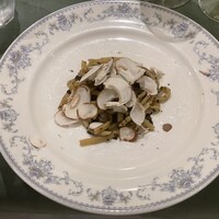 タンタ ローバ - 