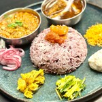 Curry Spice Gelateria KALPASI - 