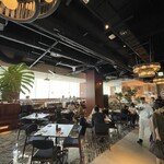 LIBERA TERRACE - 