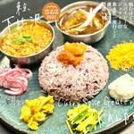 Curry Spice Gelateria KALPASI - 