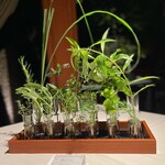 Breston Court Yukawatan