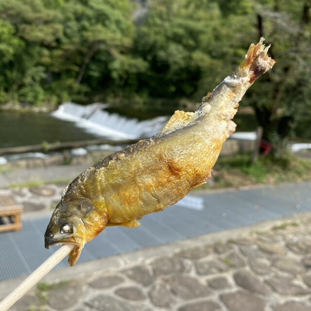 若あゆ - 猊鼻渓（串焼き）の写真