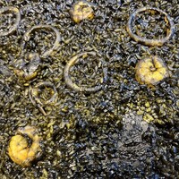 ミゲル フアニ 新宿タカシマヤ タイムズスクエア店 -  ミゲル フアニ 新宿タカシマヤ タイムズスクエア店 -