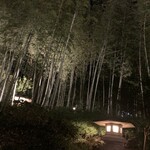 柳生の庄 - 部屋からの竹林の眺め
