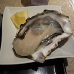 NAGOYA OYSTER BAR - 石巻産生牡蠣