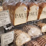 PAUL - 