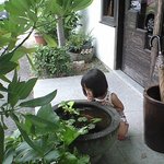 珈楽粋 - 興味津々