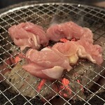 Shichirin Yaki To Hakata Motsunabe Hajime - 