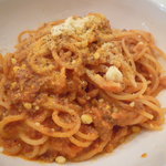 Torattoriadejinare - 