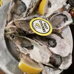 FAST OYSTERS - 